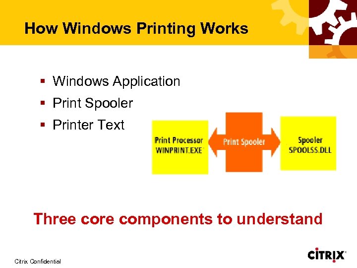 How Windows Printing Works § Windows Application § Print Spooler § Printer Text Three