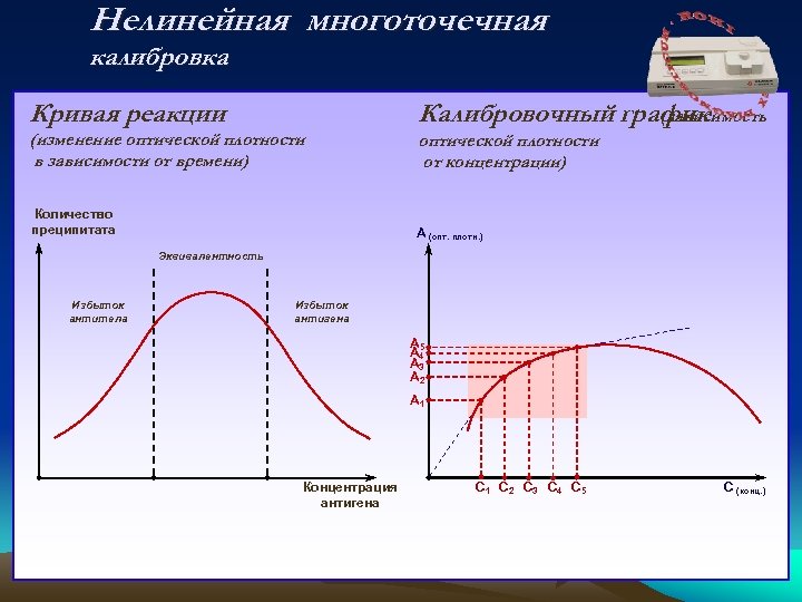 Нелинейная многоточечная калибровка Кривая реакции (изменение оптической плотности в зависимости от времени) Количество преципитата
