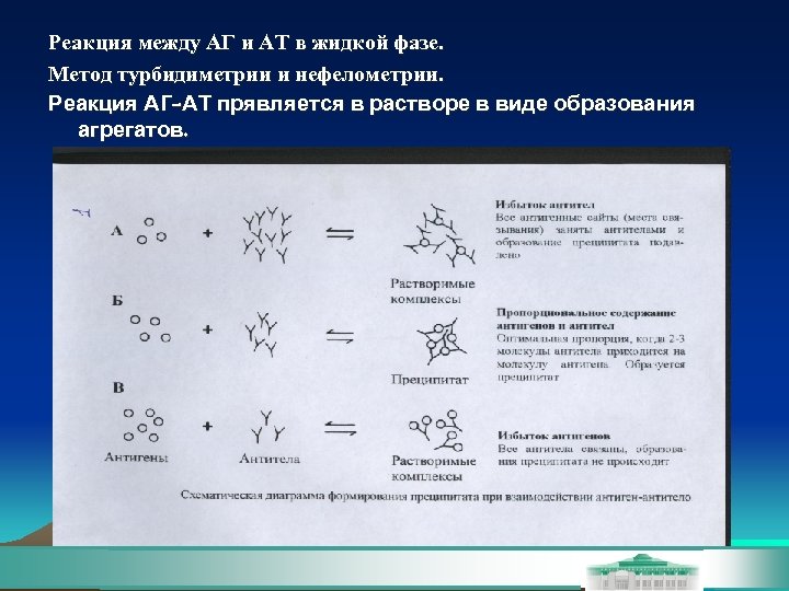 Реакция между АГ и АТ в жидкой фазе. Метод турбидиметрии и нефелометрии. Реакция АГ-АТ