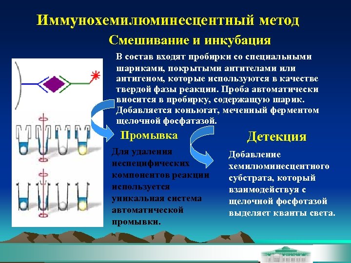 Иммунохемилюминесцентный метод Смешивание и инкубация В состав входят пробирки со специальными шариками, покрытыми антителами