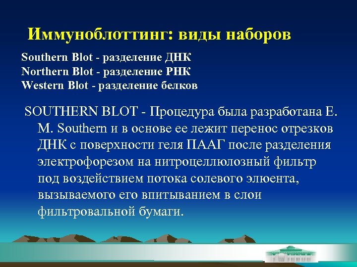 Иммуноблоттинг: виды наборов Southern Blot - разделение ДНК Northern Blot - разделение РНК Western