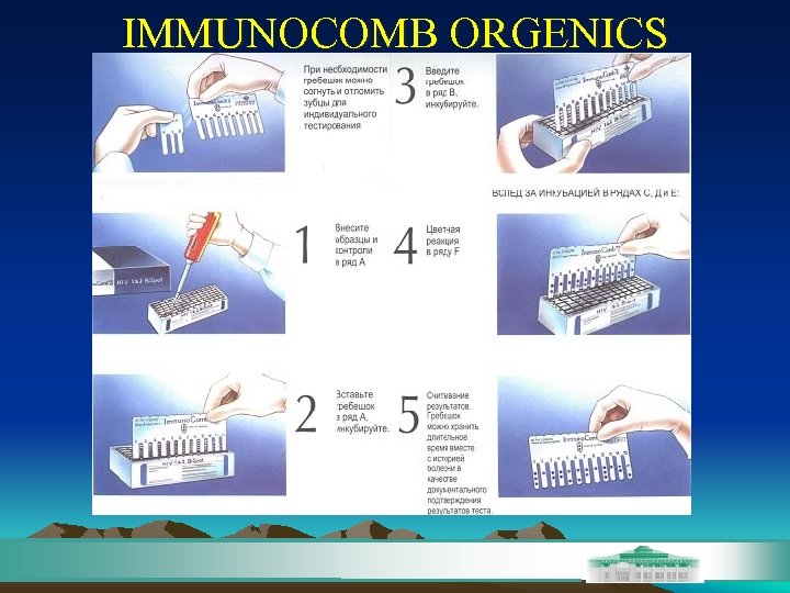 IMMUNOCOMB ORGENICS 