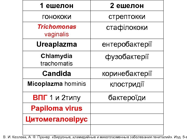 1 ешелон гонококи 2 ешелон стрептокки Trichomonas vaginalis стафілококи Ureaplazma ентеробактерії Chlamydia trachomatis фузобактерії