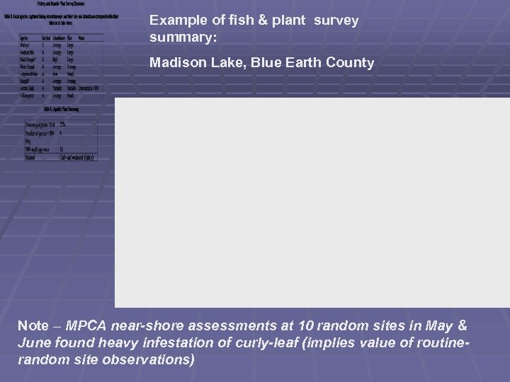 Example of fish & plant survey summary: Madison Lake, Blue Earth County Note –