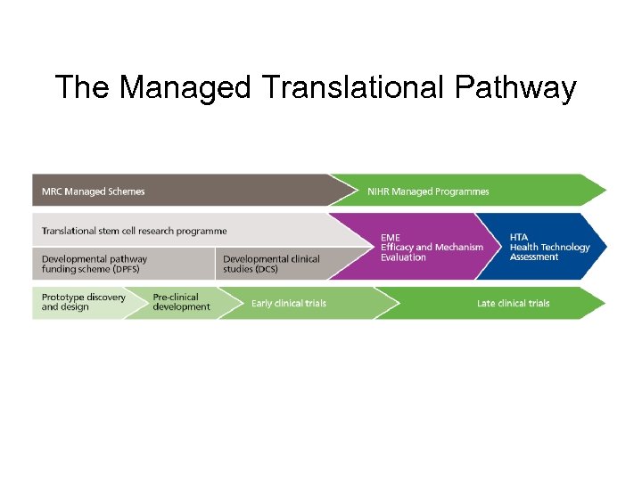 The Managed Translational Pathway 