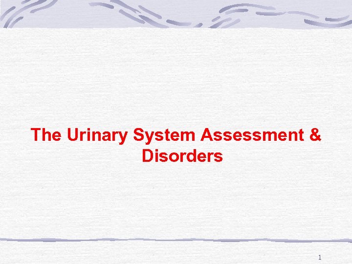 The Urinary System Assessment & Disorders 1 