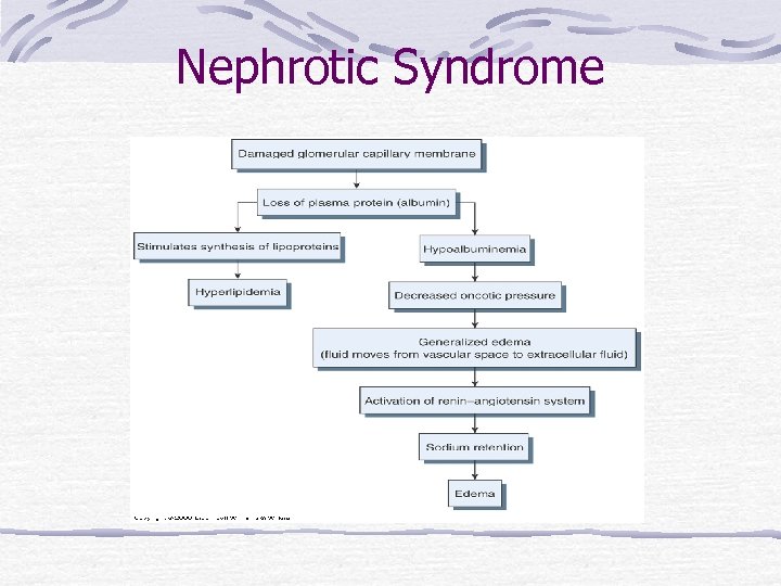 Nephrotic Syndrome 