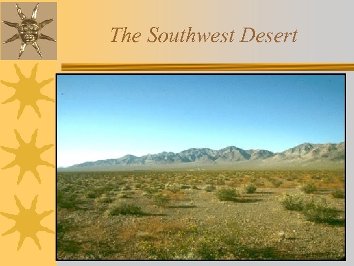 The Southwest Desert 