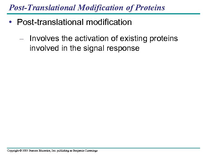 Post-Translational Modification of Proteins • Post-translational modification – Involves the activation of existing proteins