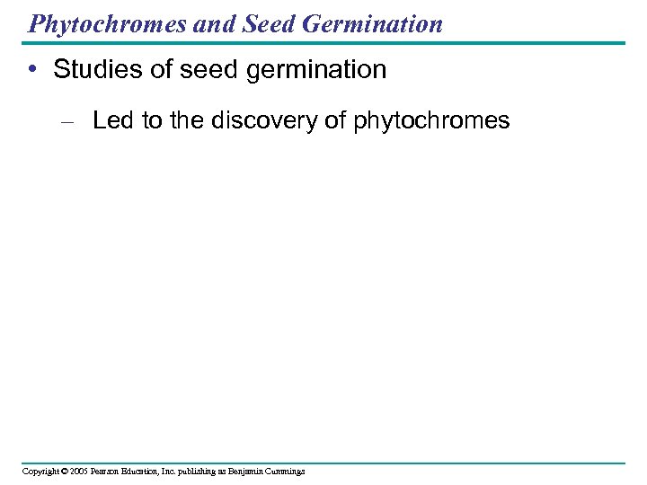 Phytochromes and Seed Germination • Studies of seed germination – Led to the discovery