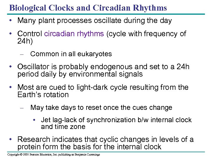 Biological Clocks and Circadian Rhythms • Many plant processes oscillate during the day •