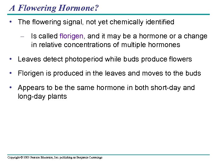 A Flowering Hormone? • The flowering signal, not yet chemically identified – Is called