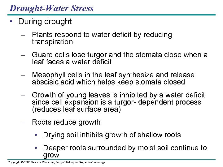 Drought-Water Stress • During drought – Plants respond to water deficit by reducing transpiration