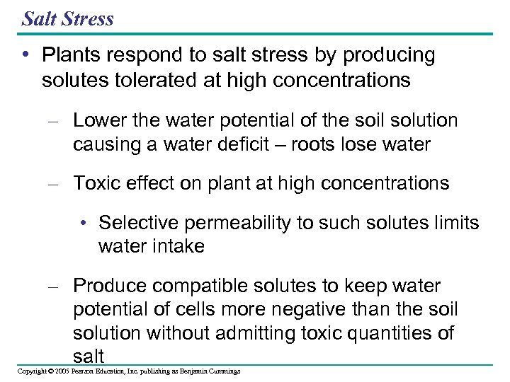 Salt Stress • Plants respond to salt stress by producing solutes tolerated at high