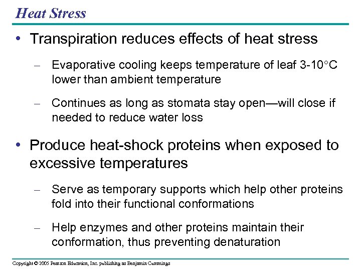 Heat Stress • Transpiration reduces effects of heat stress – Evaporative cooling keeps temperature