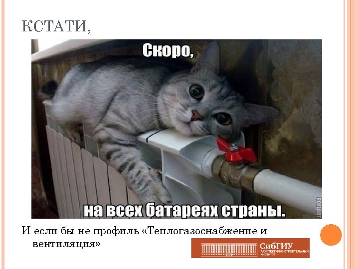 КСТАТИ, И если бы не профиль «Теплогазоснабжение и вентиляция» 