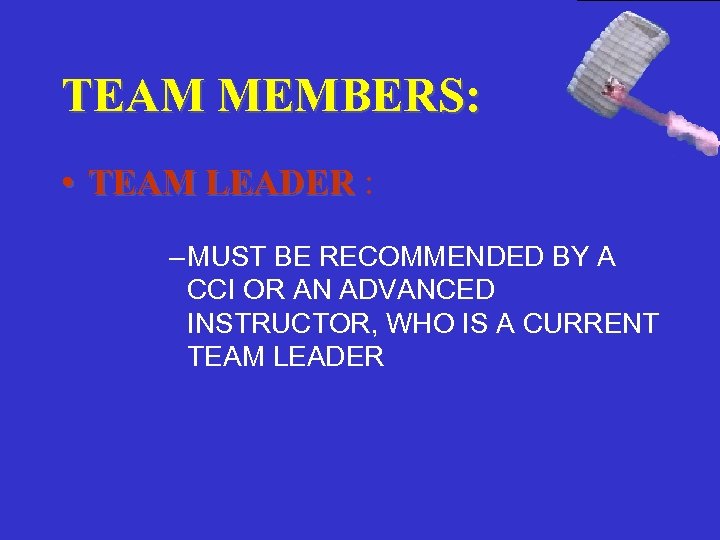 TEAM MEMBERS: • TEAM LEADER : – MUST BE RECOMMENDED BY A CCI OR