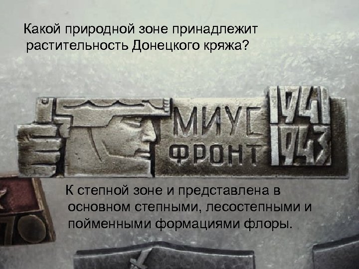 Какой природной зоне принадлежит растительность Донецкого кряжа? К степной зоне и представлена в основном