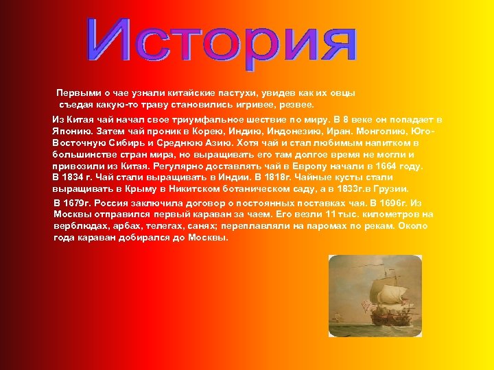 Первыми о чае узнали китайские пастухи, увидев как их овцы съедая какую-то траву становились