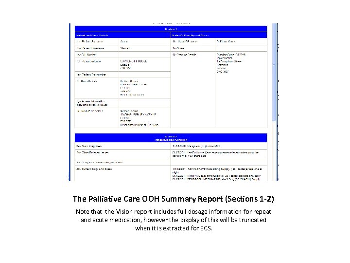 The Palliative Care OOH Summary Report (Sections 1 -2) Note that the Vision report