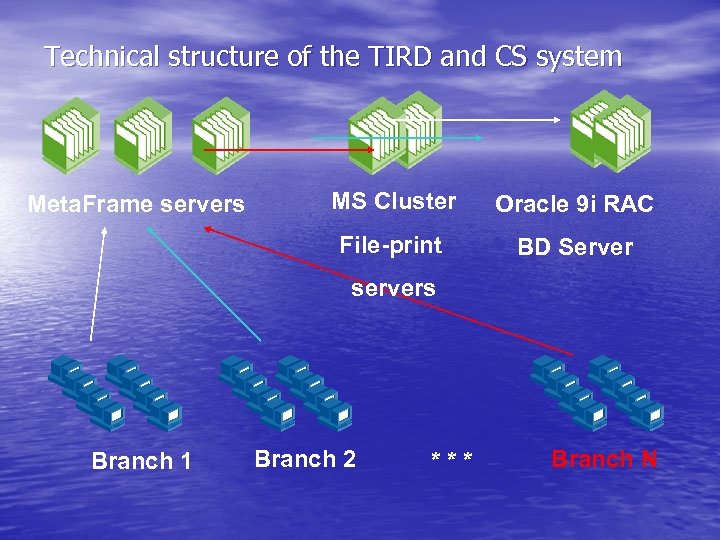 Technical structure of the TIRD and CS system MS Cluster Oracle 9 i RAC