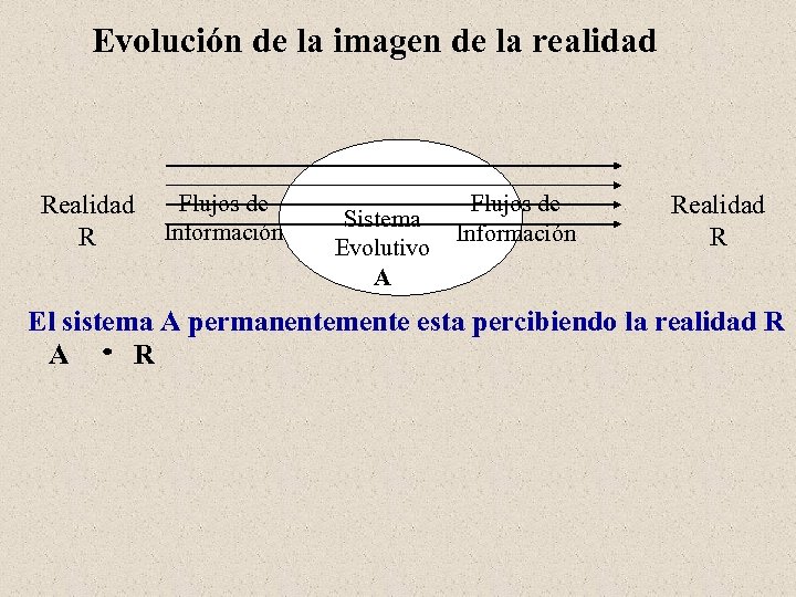 Evolución de la imagen de la realidad Realidad Flujos de Información R Sistema Evolutivo