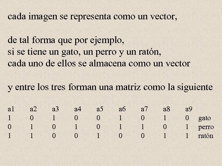 cada imagen se representa como un vector, de tal forma que por ejemplo, si