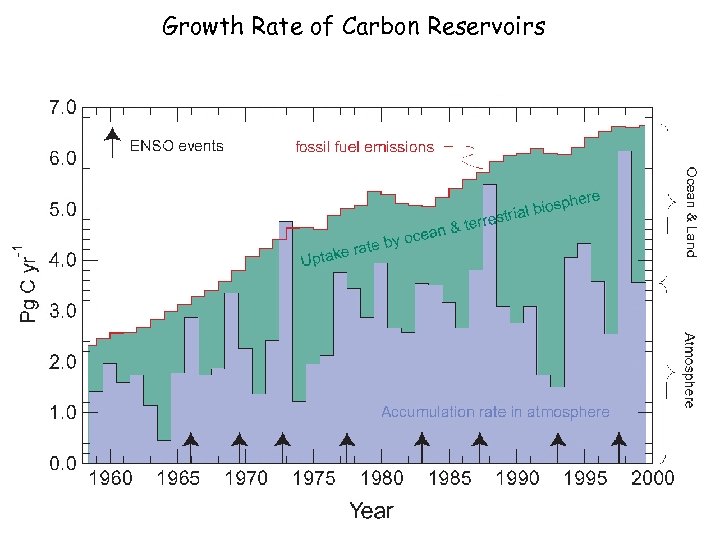 Growth Rate of Carbon Reservoirs 