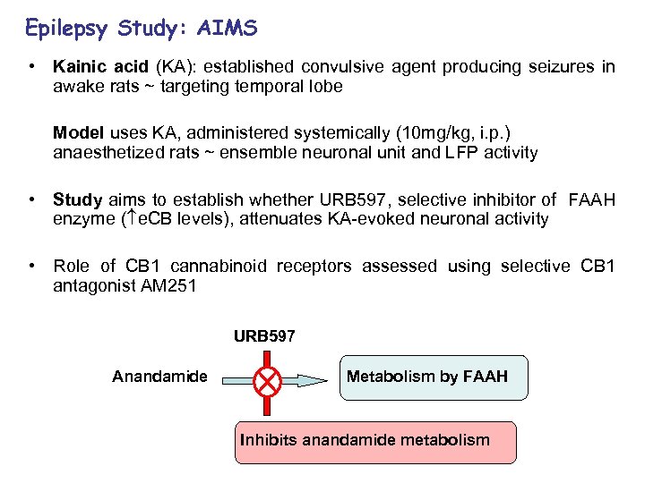 Epilepsy Study: AIMS • Kainic acid (KA): established convulsive agent producing seizures in awake