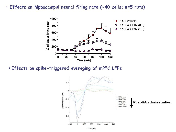  • Effects on hippocampal neural firing rate (~40 cells; n=5 rats) • Effects