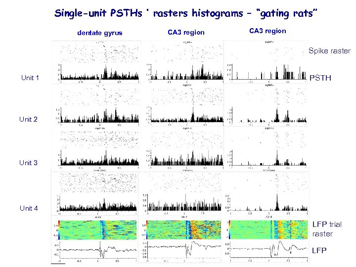 Single-unit PSTHs ‘ rasters histograms – “gating rats” dentate gyrus CA 3 region Spike