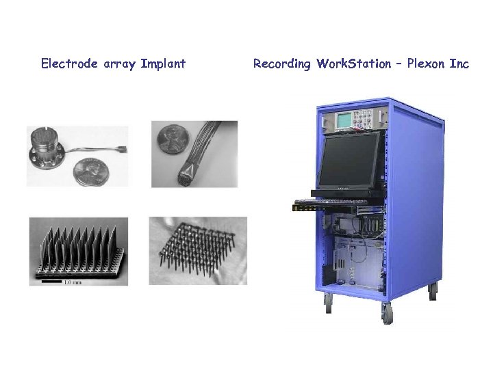 Electrode array Implant Recording Work. Station – Plexon Inc 