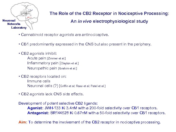 The Role of the CB 2 Receptor in Nociceptive Processing: Neuronal Networks Laboratory An