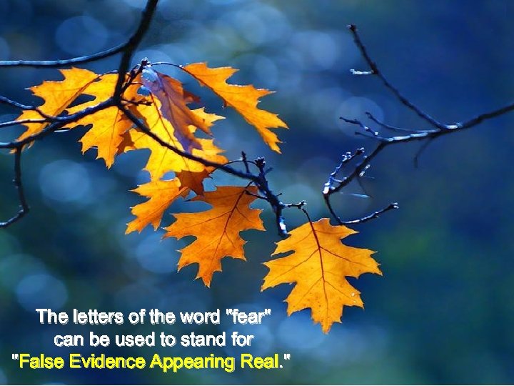 The letters of the word 