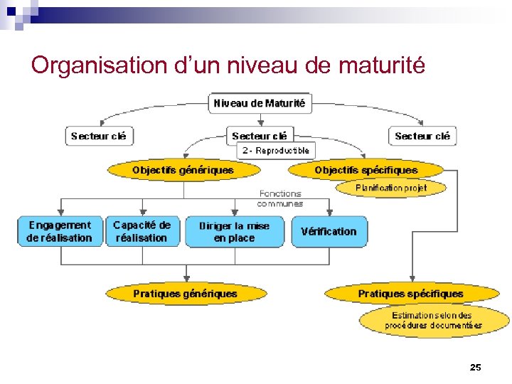 Organisation d’un niveau de maturité 25 