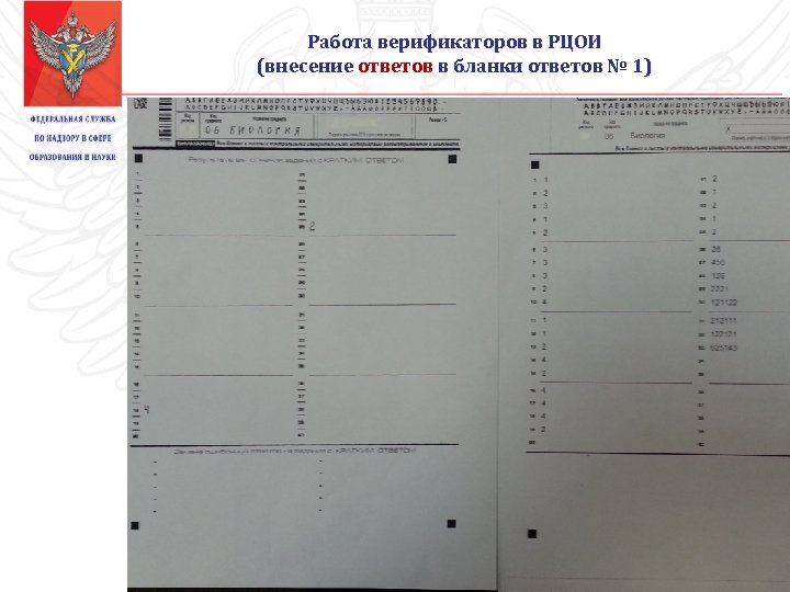 Работа верификаторов в РЦОИ (внесение ответов в бланки ответов № 1) 