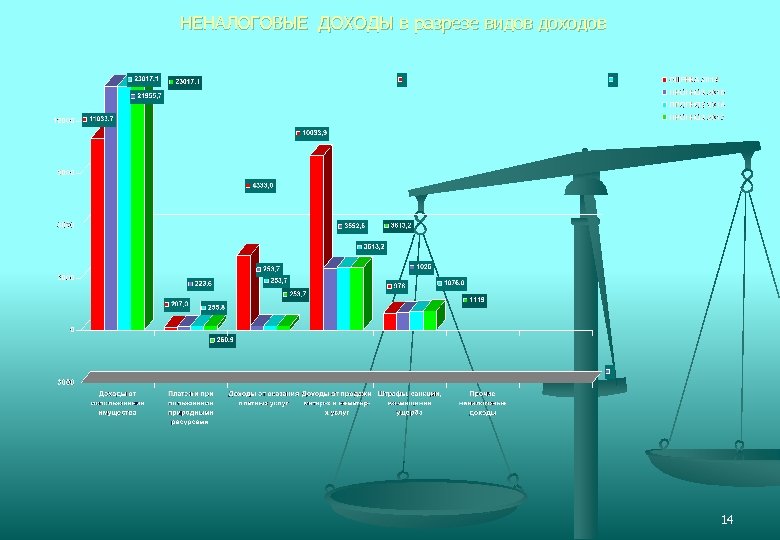 НЕНАЛОГОВЫЕ ДОХОДЫ в разрезе видов доходов 14 