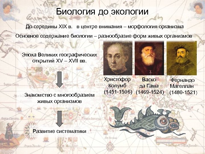 Биология до экологии До середины XIX в. в центре внимания – морфология организма Основное