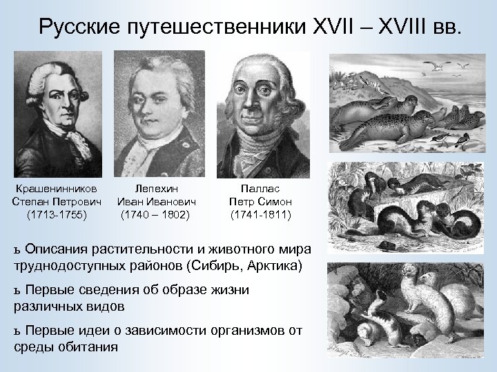 Русские путешественники XVII – XVIII вв. Крашенинников Степан Петрович (1713 -1755) Лепехин Иванович (1740