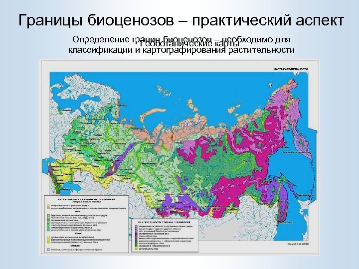 Границы биоценозов – практический аспект Определение границ биоценозов – необходимо для Геоботанические карты классификации