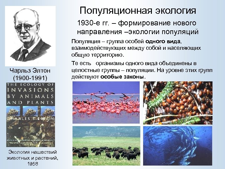 Популяционная экология 1930 -е гг. – формирование нового направления –экологии популяций Популяция – группа