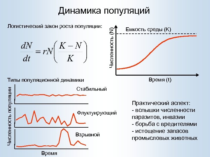 Логистический закон роста популяции: Численность (N) Динамика популяций Типы популяционной динамики Емкость среды (K)