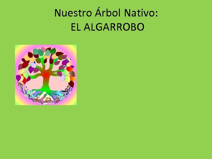 Nuestro Árbol Nativo: EL ALGARROBO 