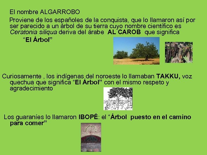  Proviene de los españoles de la conquista, que lo llamaron así por El