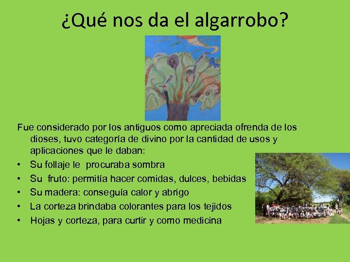 ¿Qué nos da el algarrobo? Fue considerado por los antiguos como apreciada ofrenda de
