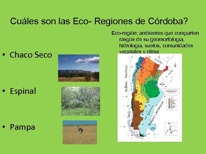 Cuáles son las Eco- Regiones de Córdoba? • Chaco Seco • Espinal • Pampa