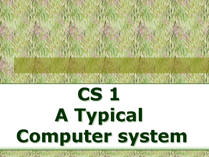 CS 1 A Typical Computer system 