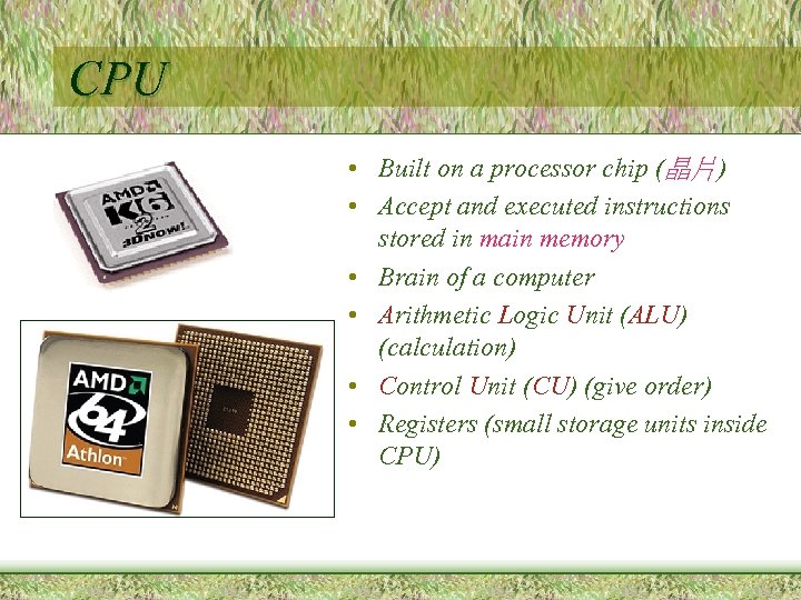 CPU • Built on a processor chip (晶片) • Accept and executed instructions stored