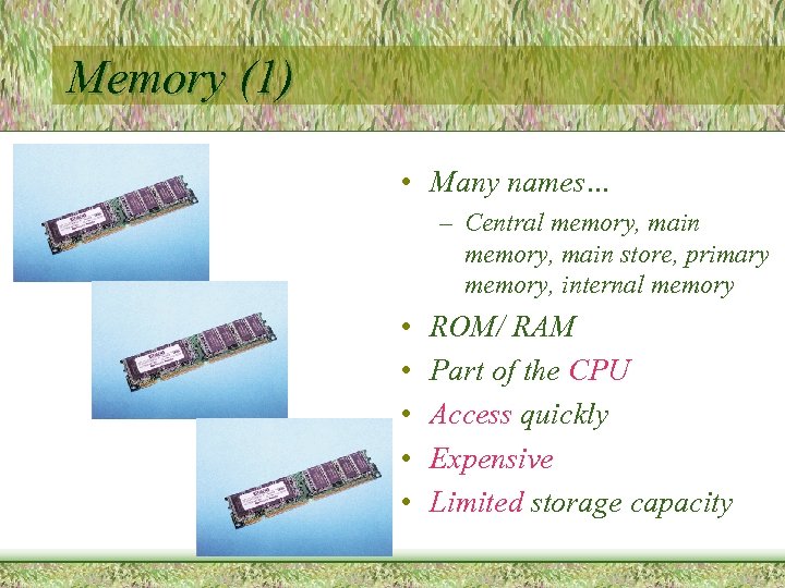 Memory (1) • Many names… – Central memory, main store, primary memory, internal memory