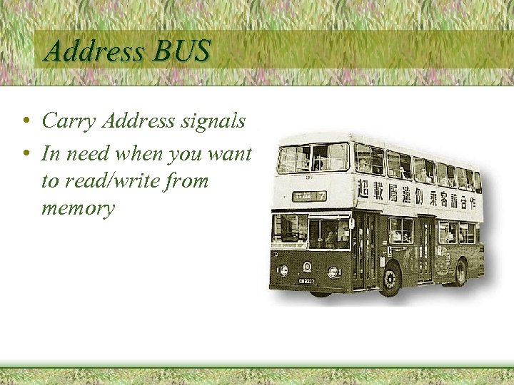 Address BUS • Carry Address signals • In need when you want to read/write